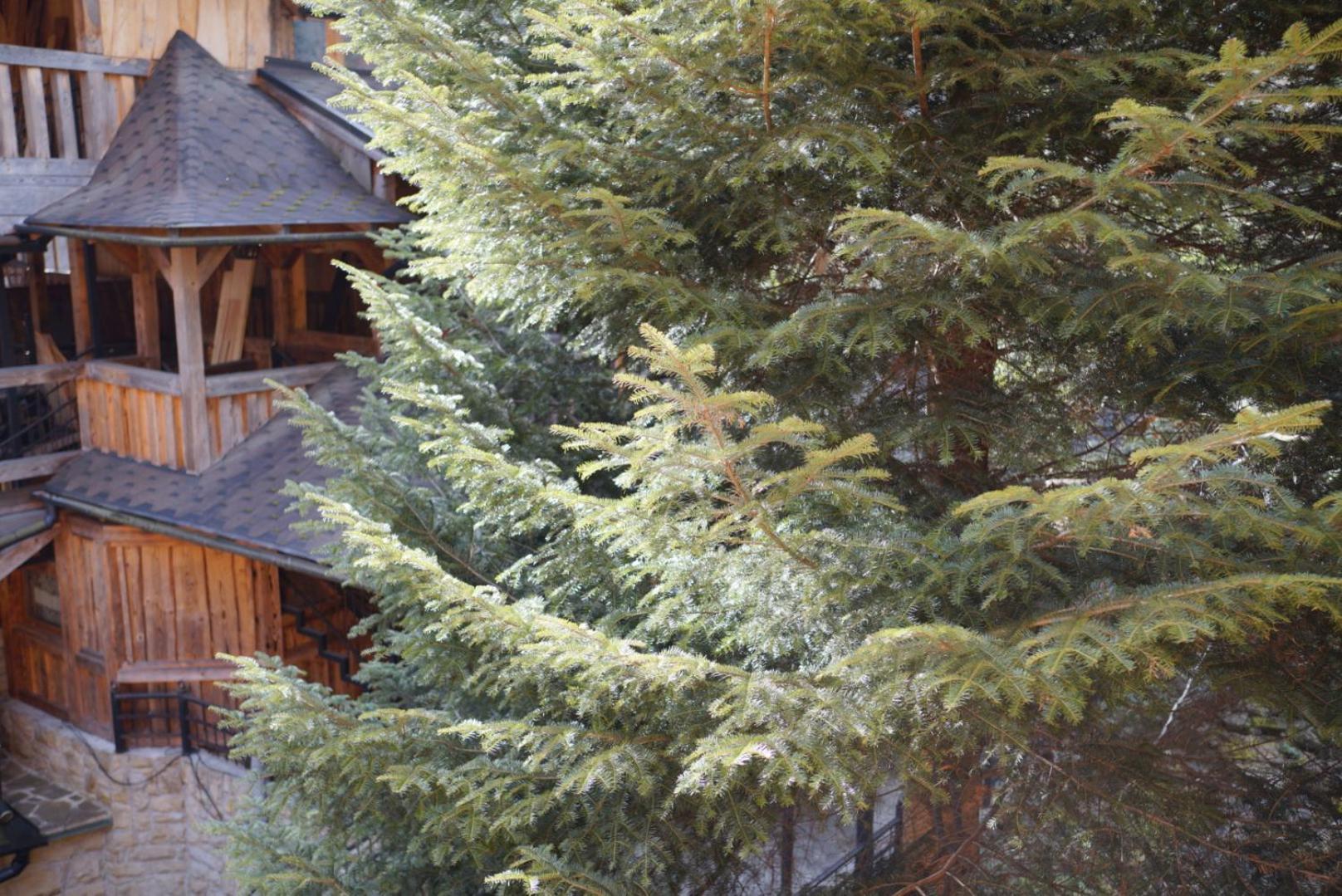 Садиба Nad Prutom Yaremche Exterior photo