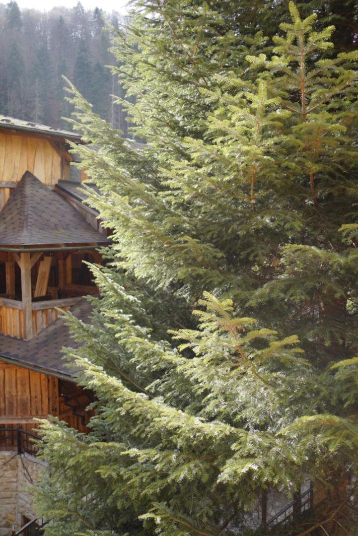 Садиба Nad Prutom Yaremche Exterior photo